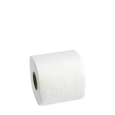 Papier toilette, 250 feuilles, 3 épaisseurs (9,6 x 12 cm)